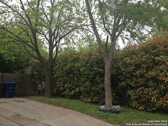 3rd image of 4322 Wild Oak Dr