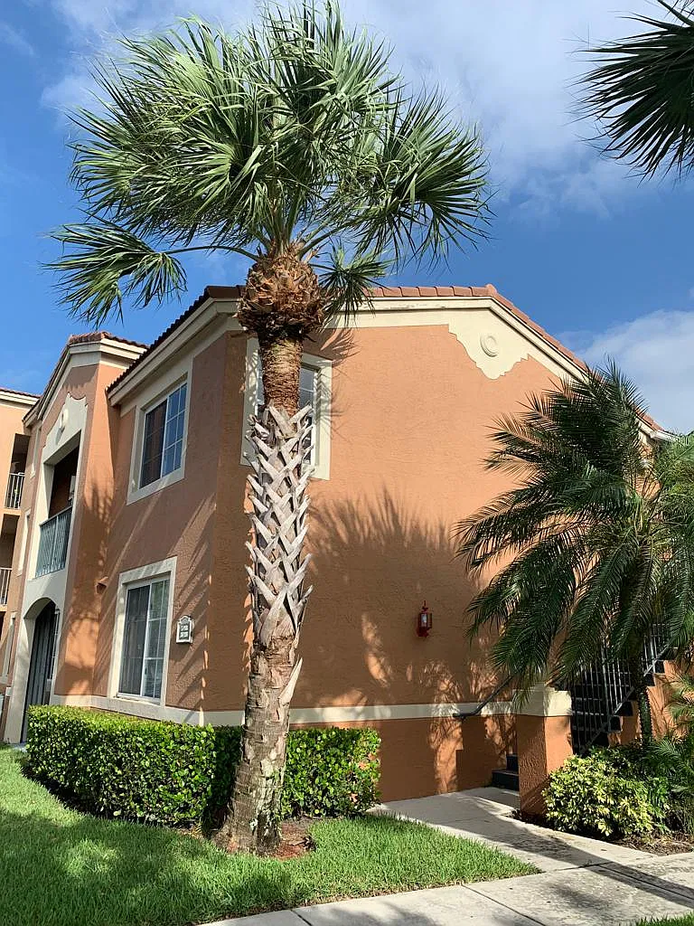 2 bed, 981 sqft, $2,000 — Photo 1