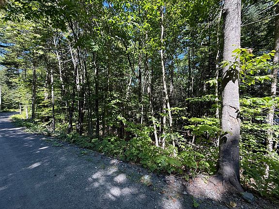 4th image of Map 40 Lot 5 Wilson Pond Road