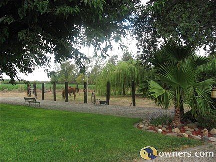 Front Lawn Looking At Horse Pasture