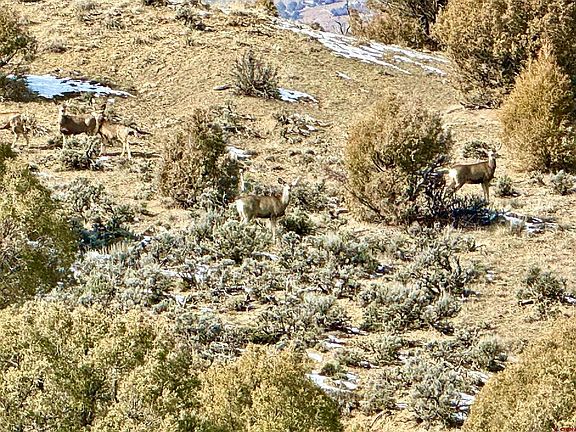 3rd image of Lot 22 S Rockcliff Circle