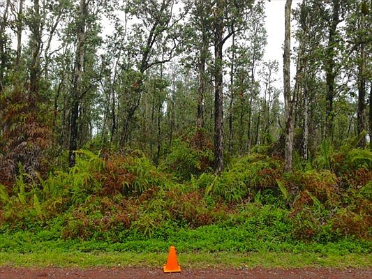 3rd image of 13th Ave Lot 1199