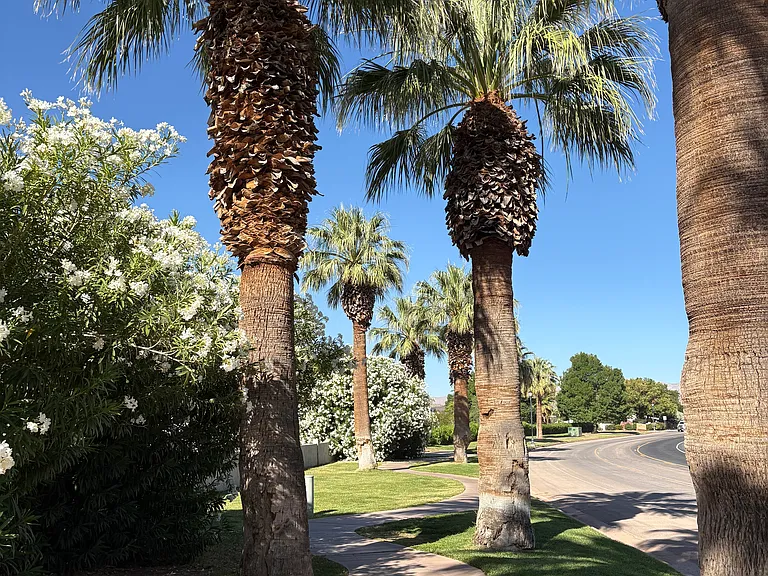 2050 W Canyon View Dr #8B — Photo 2