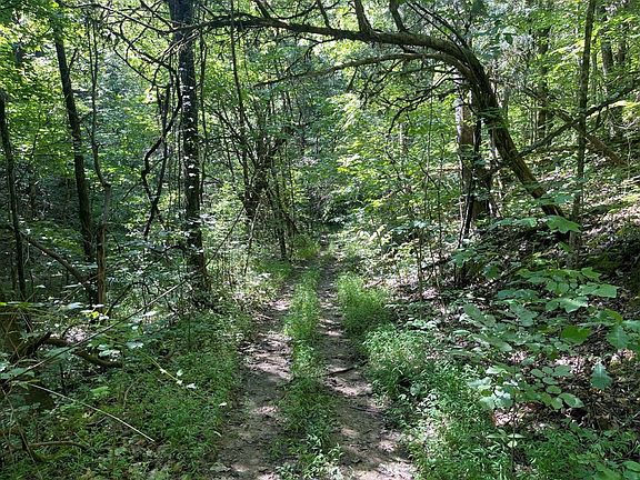 2nd image of 1549 Douglas Dam Rd #0