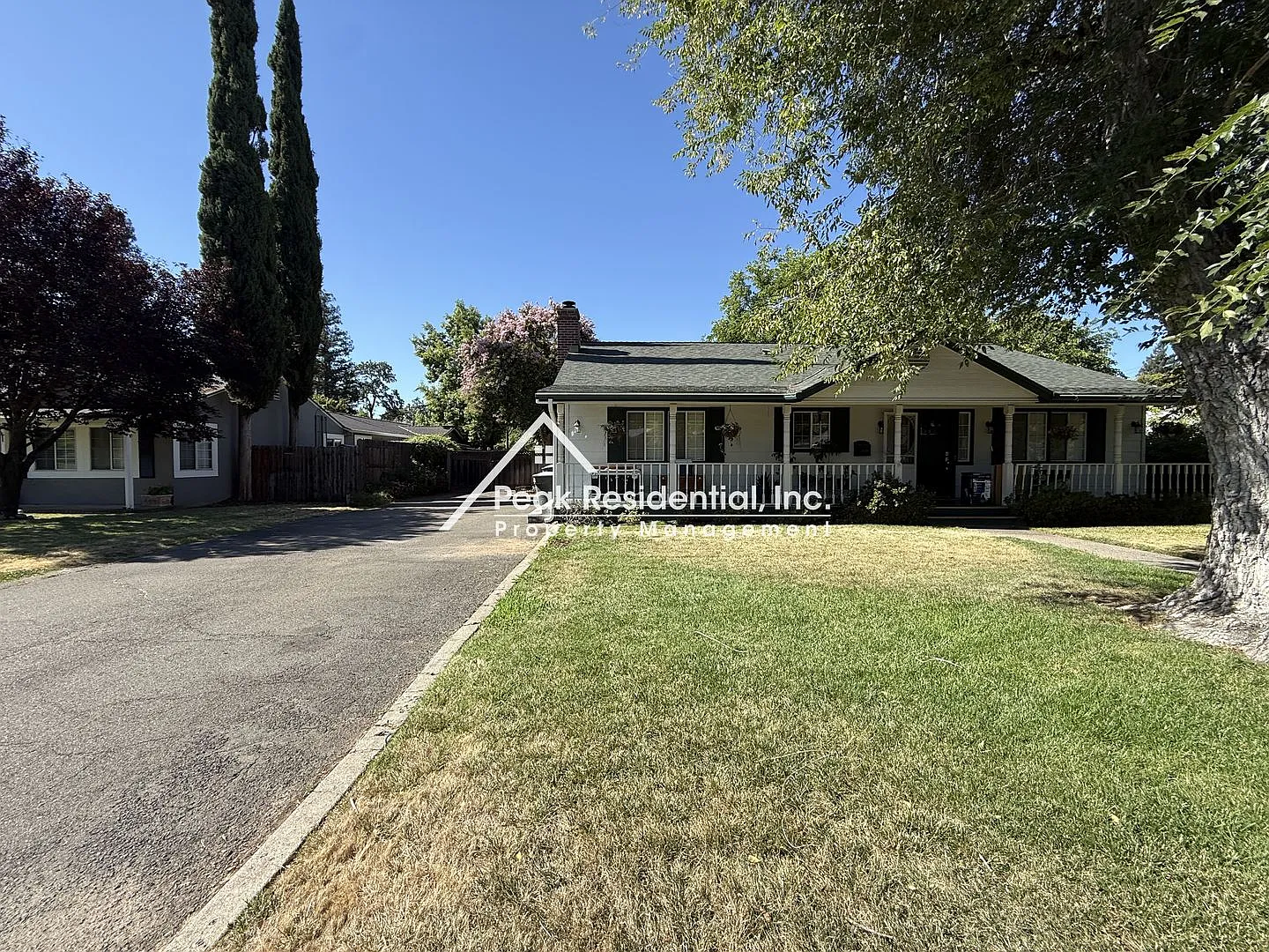 Charming Arden Area 3bd/2ba Home! — Photo 3