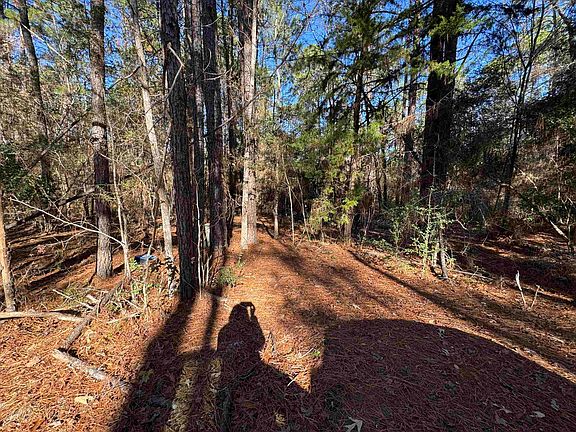 5th image of 345 Sumac Dr