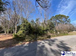 Jones Cir, Bishopville, SC 29010