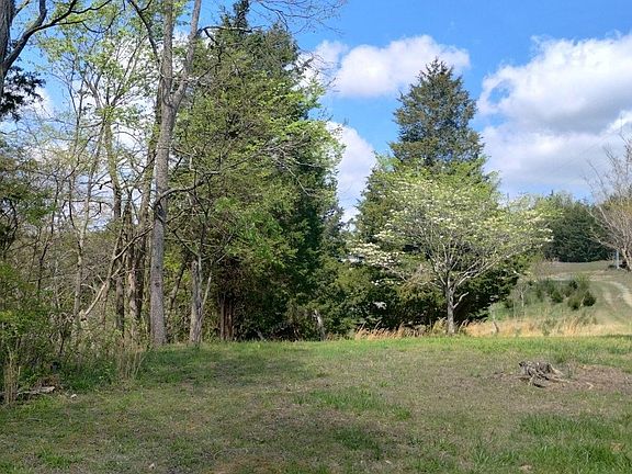 4th image of 236 Buzzard Roost Rd Lot 1