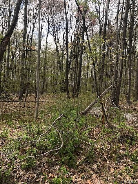 2nd image of 238 Brady Rd