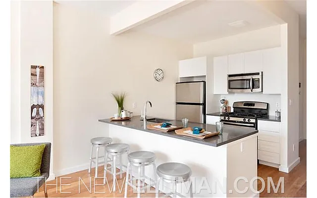 Rented by Douglas Elliman | media 28