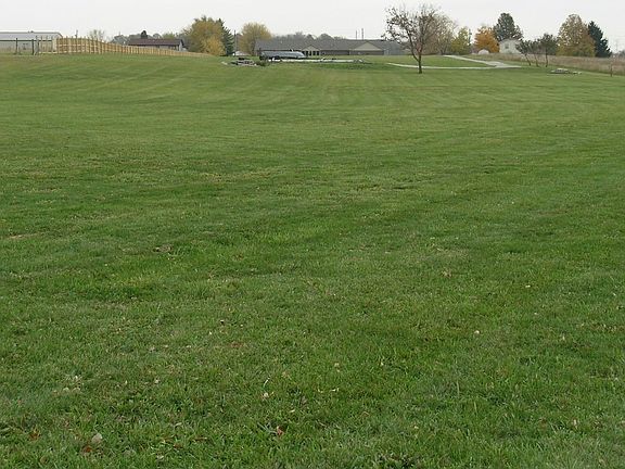 Looking towards house from back of property