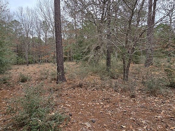 2nd image of Pidn 51641 County Rd #222