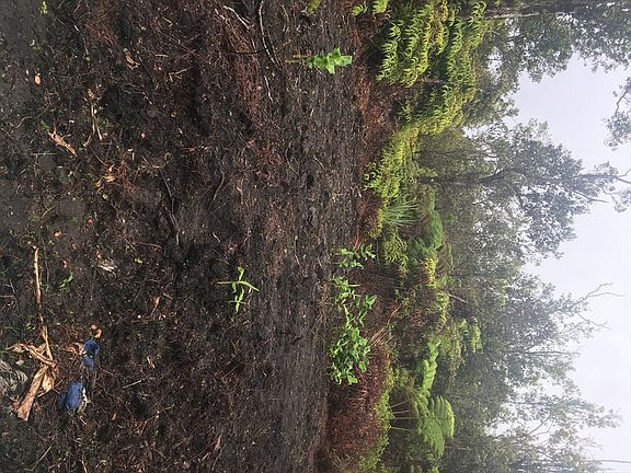 5th image of Mokuna St Lot 2222