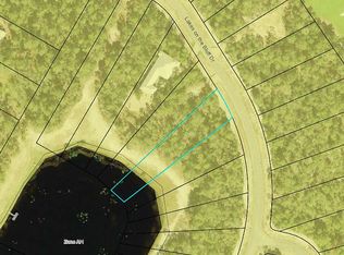 134 Lakes On The Bluff Dr, Eastpoint, FL 32328