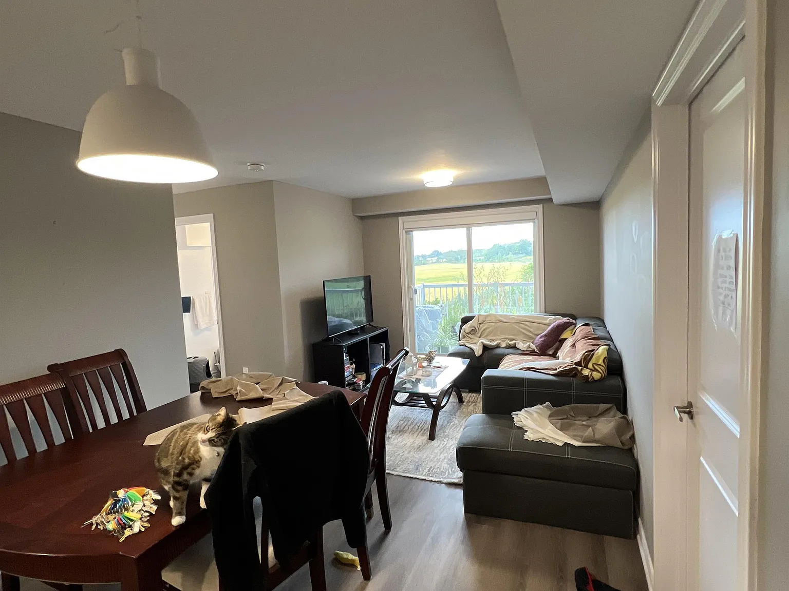 160 Whispering Winds Way — Photo 4