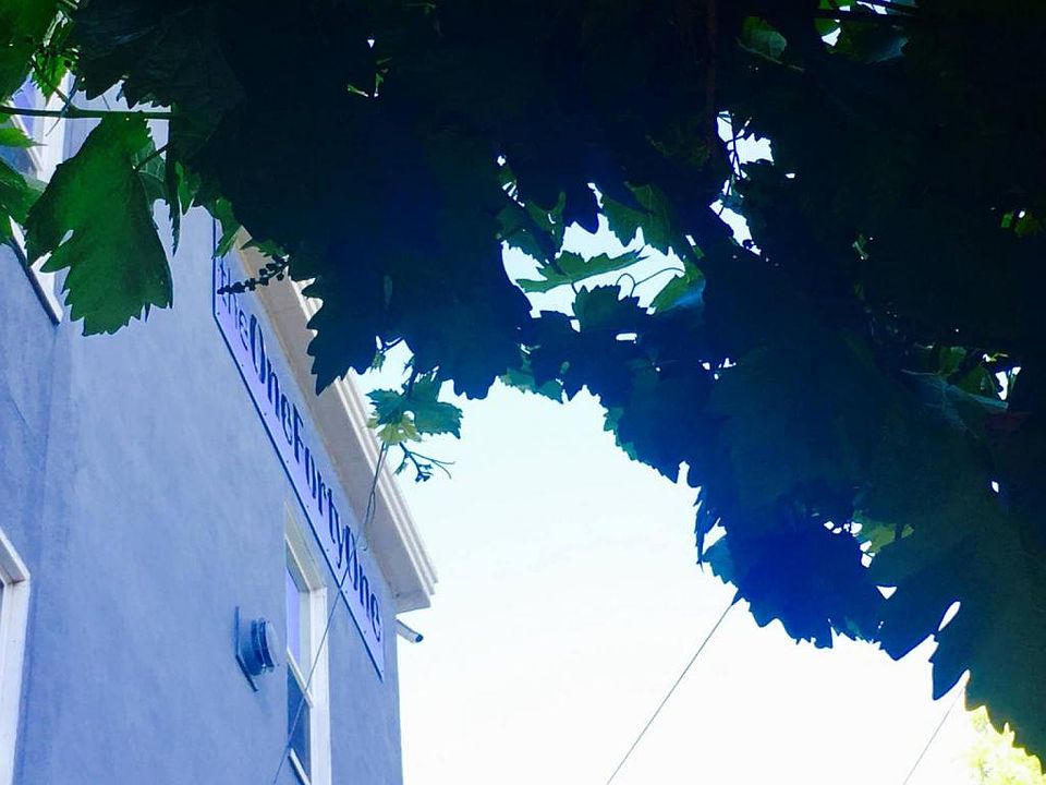 2nd image of 141 Washington St #207