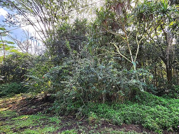 4th image of Ohiki St Lot 1453