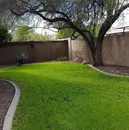 Fabulous New Green Lawn