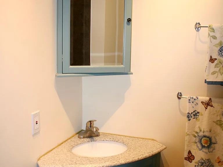 Main bath vanity.