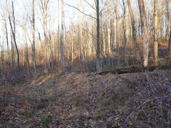 LOT 1 Klondike Rd, Confluence, PA 15424