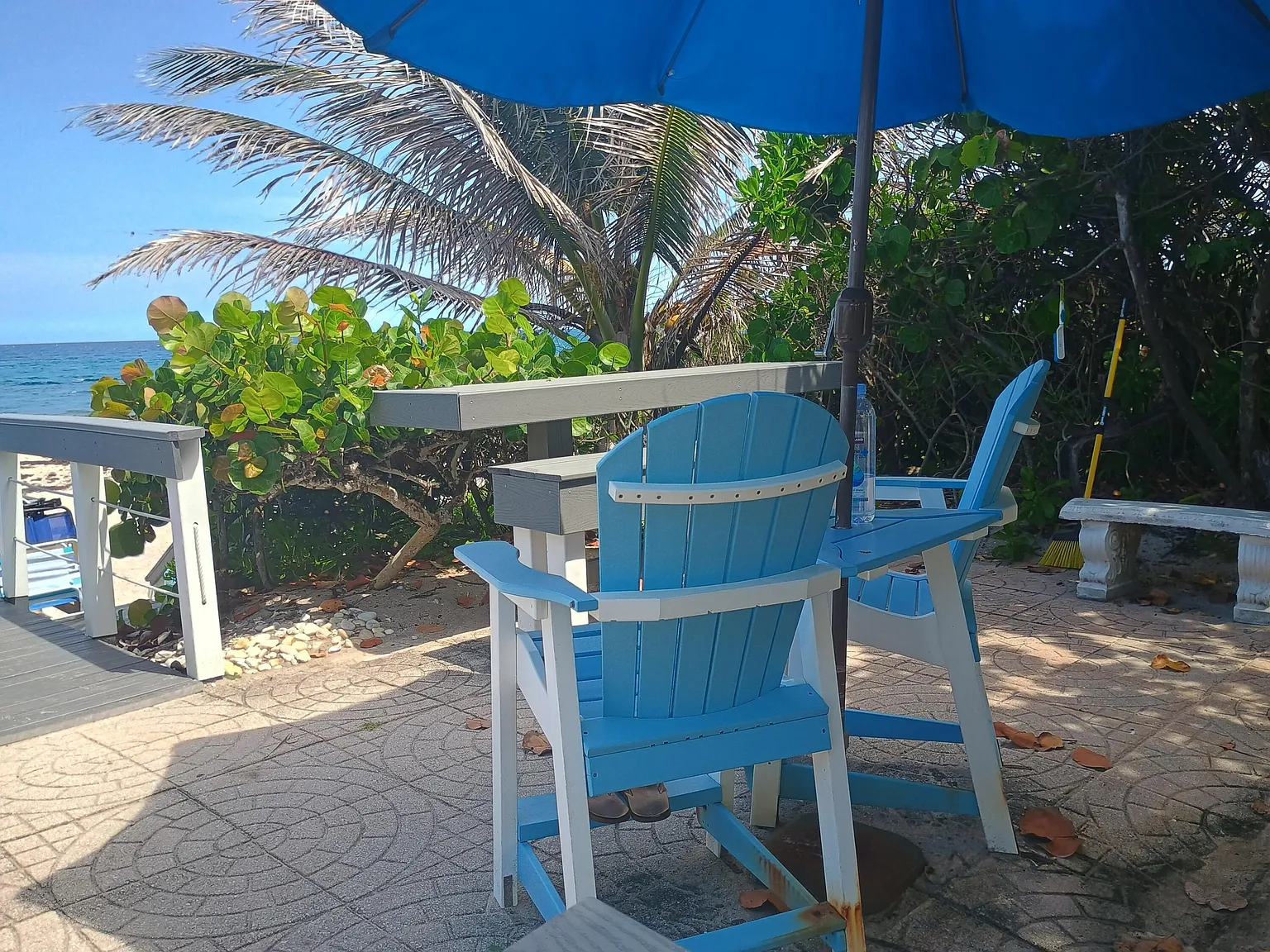 1 bed, 1.0 bath, 665 sqft, $2,600 — Photo 3