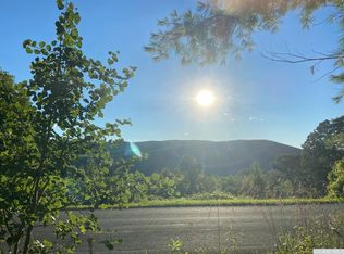 926 E Hill Rd, Middleburgh, NY 12122