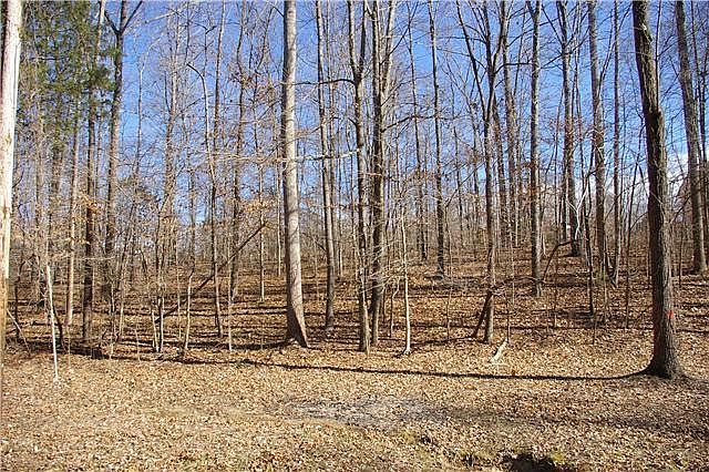 1st image of 0 Fire Lake Dr Lot 203
