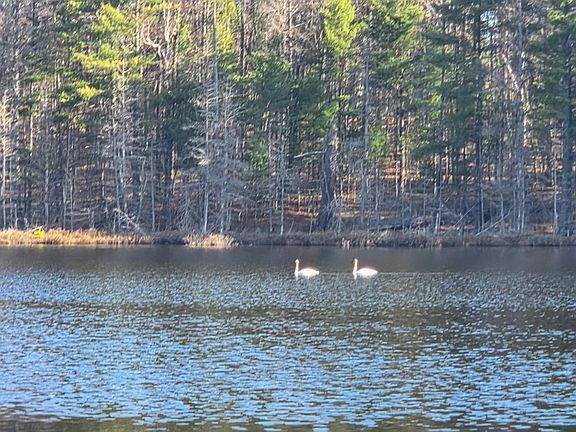 3rd image of 2814 Pickerel Lake Rd