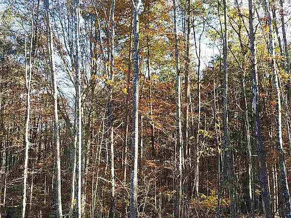 5th image of Shenandoah Crossing Dr