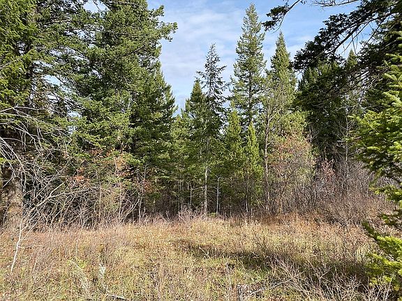 5th image of LOT 202 Alpine Hills Dr