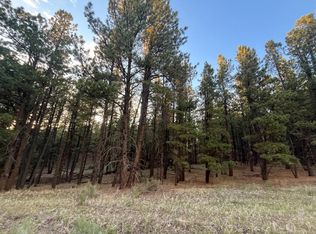 19 Valley Rd, Angel Fire, NM 87710