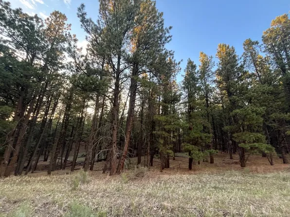 19 Valley Rd, Angel Fire, NM 87710