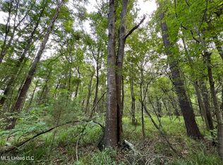 2107 Gunter Rd, Walnut Grove, MS 39189