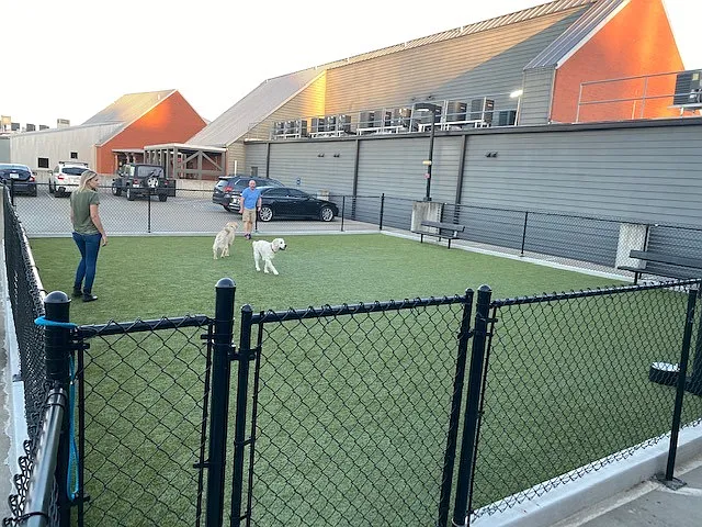 Expansive Dog Park