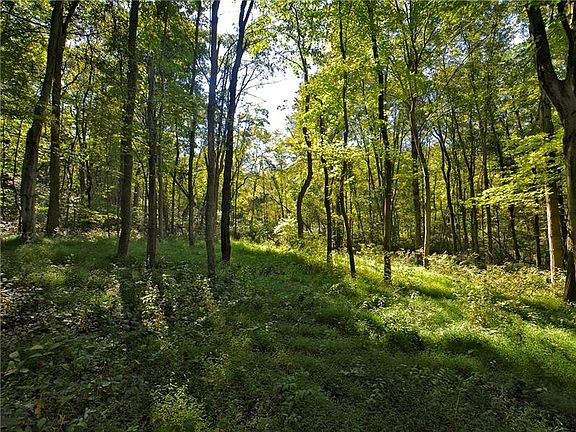 4th image of 4834 Treesdale Ct