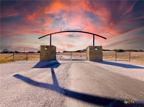 49 Cottonwood Mesa Dr, Kempner, TX 76539