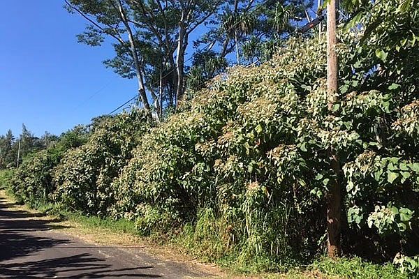 1st image of Wehelauniu St Lot 154