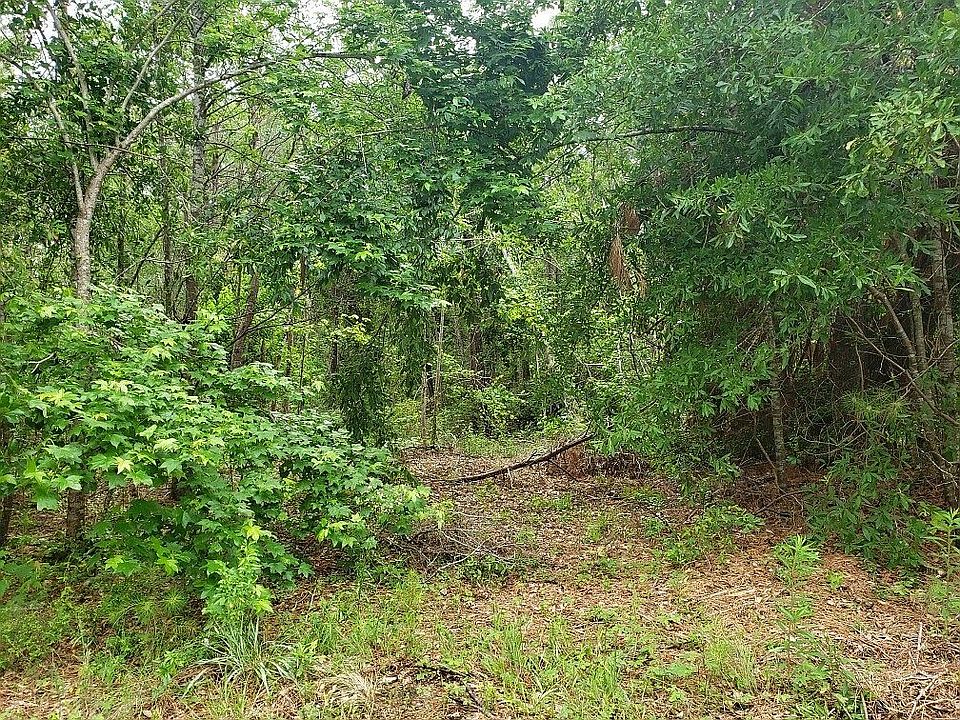2nd image of 1009 Pine Ridge Rd