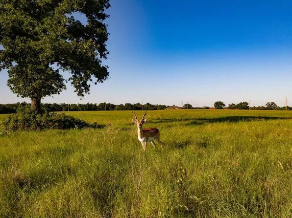 LOT 14 Private Road 4100 Lot 14, Marquez, TX 77865