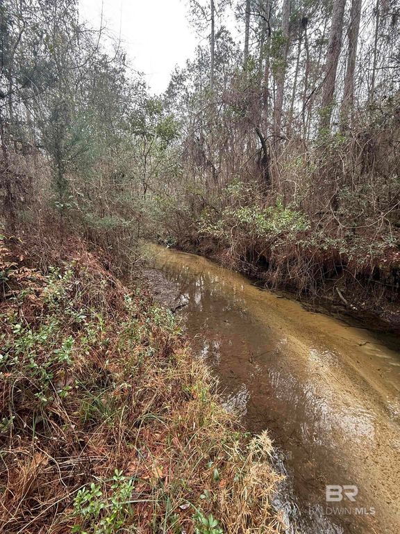 2483 Jordan Rd, Flomaton, AL - View 6