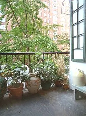 Sold by Douglas Elliman | media 17