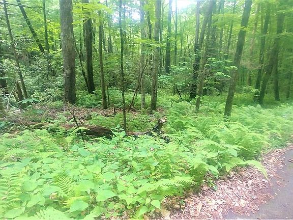 2nd image of 51 Rocky Top Dr