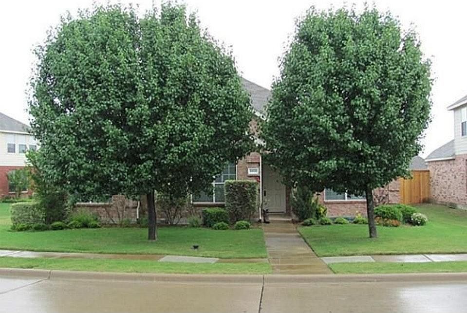 Front Yard