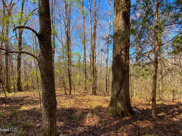 481 Ward Rd, Florence, MS 39073