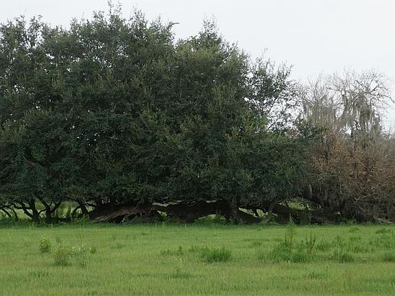 5th image of Durant Rd