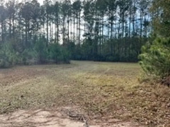 425 Josiah Morgan Road, Clyo, GA 31303