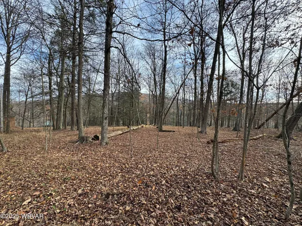 244 Lakeside Dr, Muncy Valley, PA 17758