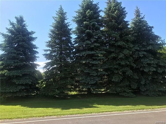 3rd image of 5012 Escarpment Dr