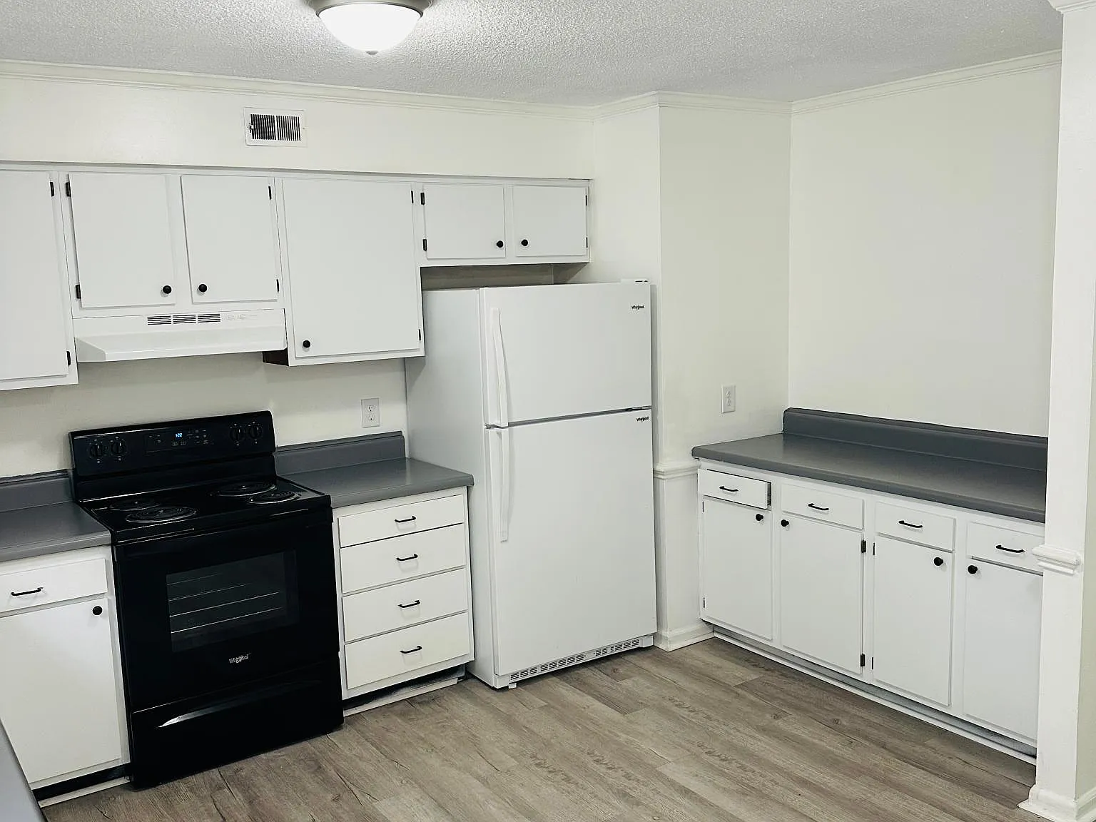2 bed, 1.5 bath, 1023 sqft, $1,000 — Photo 3