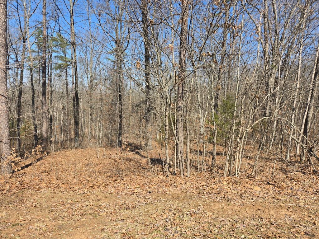 Real estate listing image